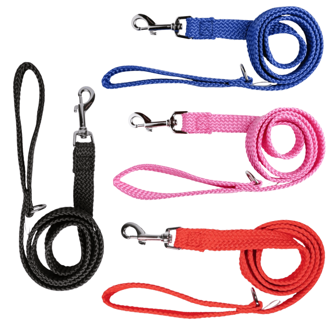 Dog Lead Double Nylon