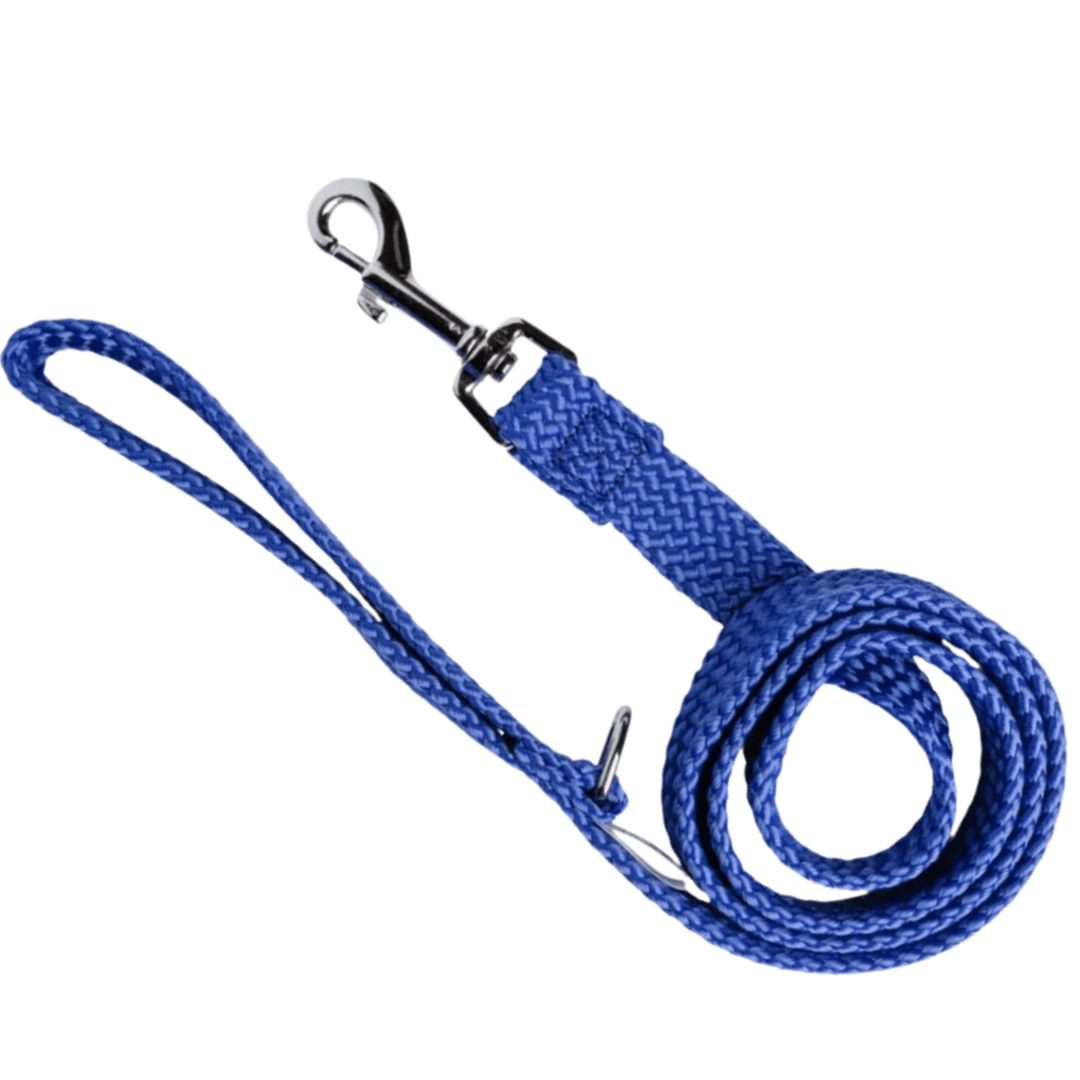 Dog Lead Double Nylon