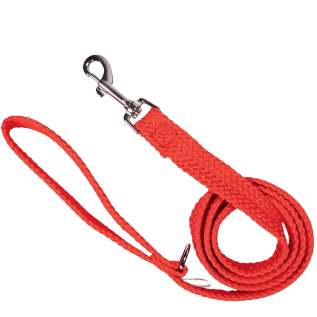 Dog Lead Double Nylon