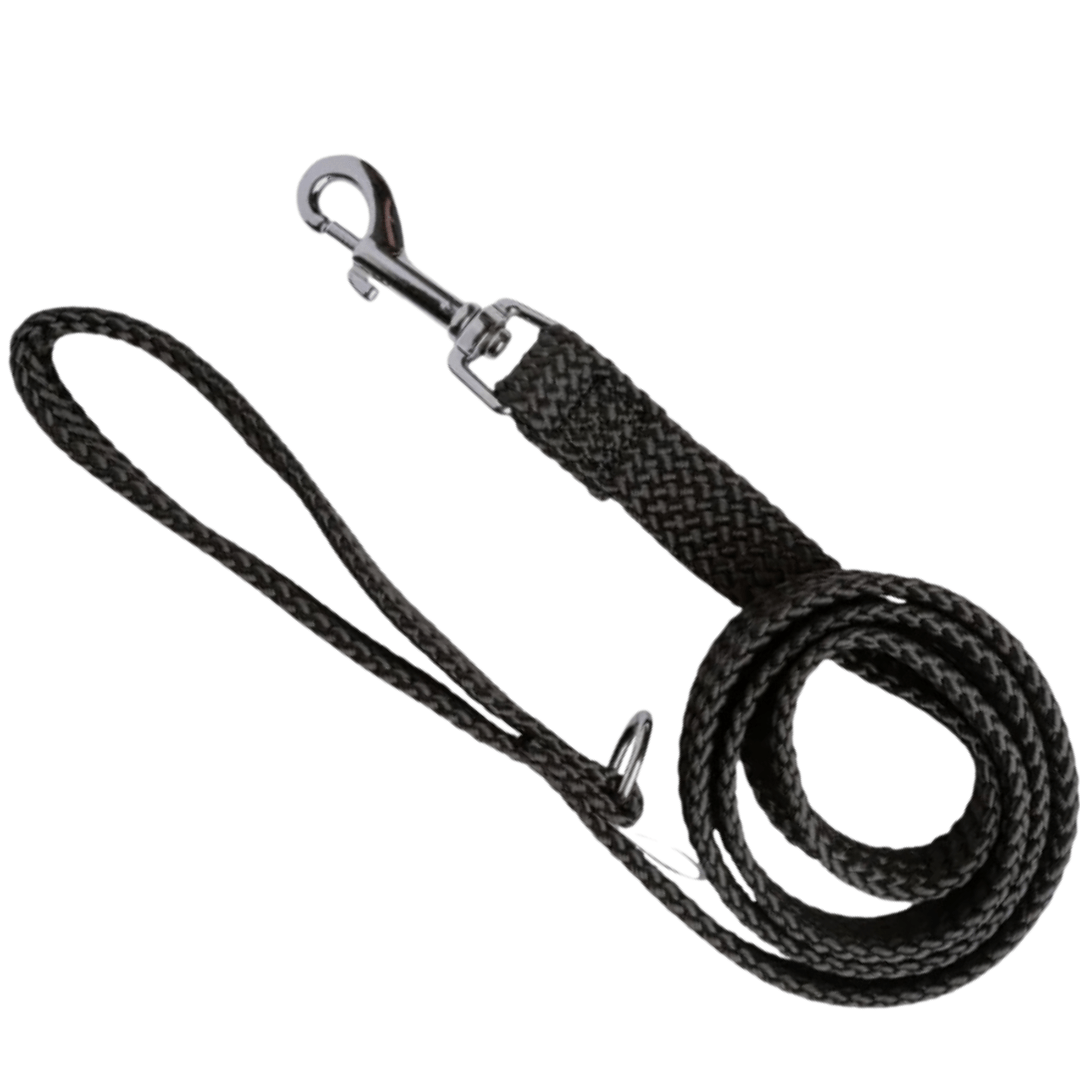 Dog Lead Double Nylon