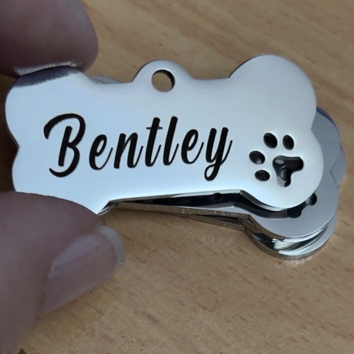 Bentley dog hot sale tag